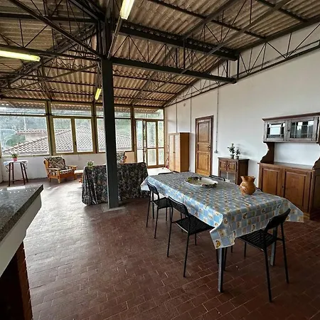 Tra Le Alpi Apuane E Il Mare Apartment Montignoso